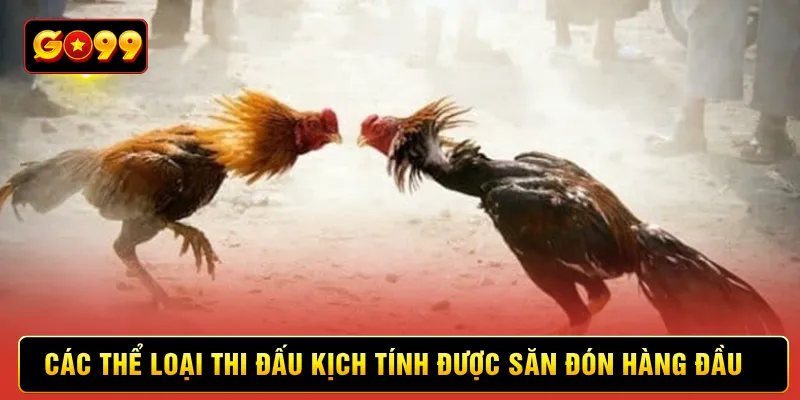 Các thể loại thi đấu kịch tính được săn đón hàng đầu 