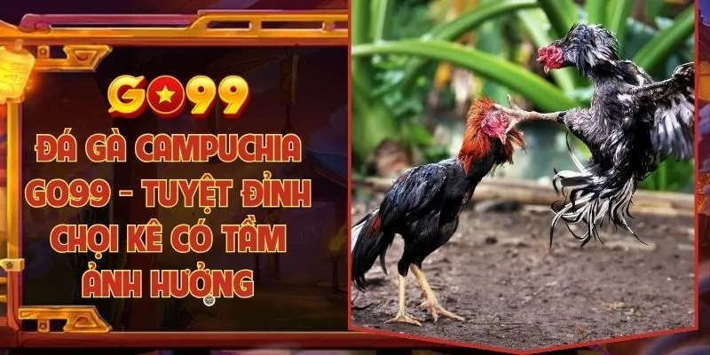 Đá gà Campuchia Go99 - Tuyệt đỉnh chọi kê có tầm ảnh hưởng