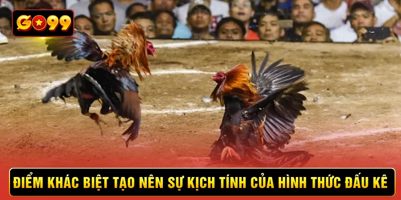Điểm khác biệt tạo nên sự kịch tính của hình thức đấu kê 