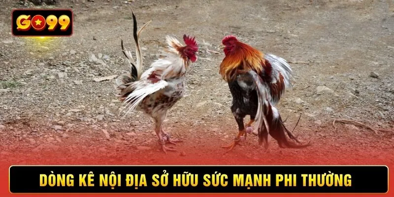 Dòng kê nội địa sở hữu sức mạnh phi thường