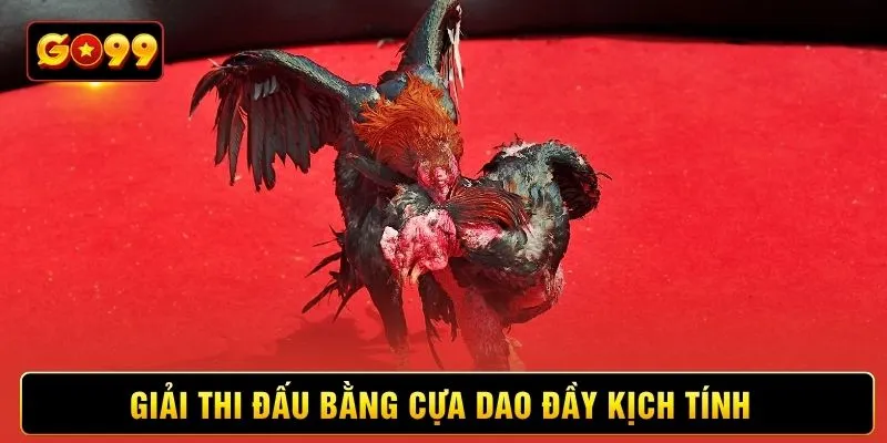Giải thi đấu bằng cựa dao đầy kịch tính