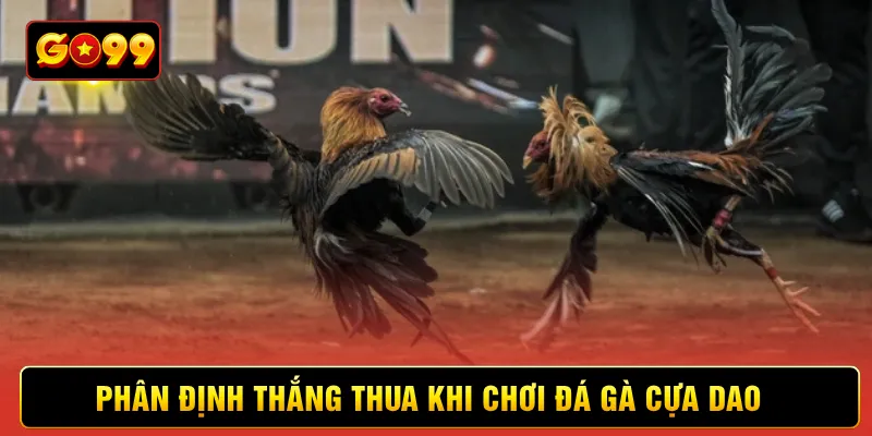 Phân định thắng thua khi chơi đá gà cựa dao 