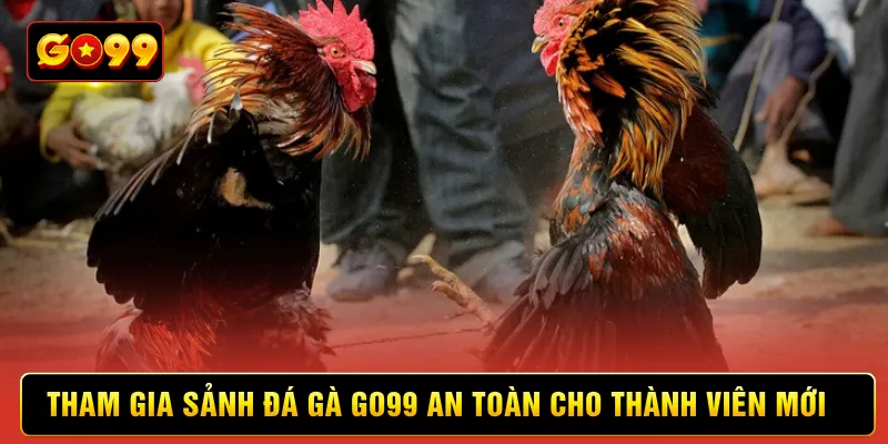 Tham gia sảnh đá gà Go99 an toàn cho thành viên mới 